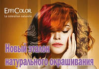 НОВИЙ БРЕНД EFFICOLOR У ORGANIC PARADISE!