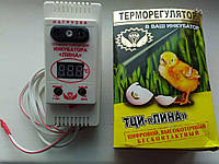 Терморегулятор для инкубатора цифровой Лина, ТЦИ -1000