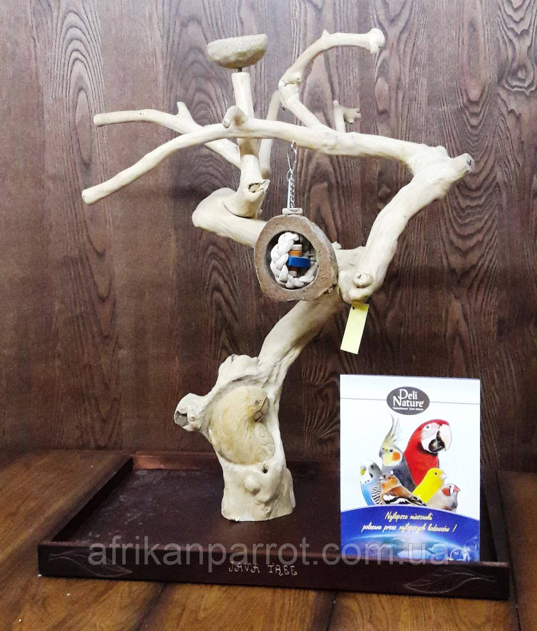 Присада стенд для птахів (Java Stand Ява) 80см., фото 1