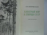 Бобринський Н.А. Тваринний світ і природа СРСР (б/у)., фото 5