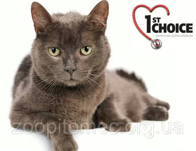 1st Choice для кішок, кошенят. Корм 1st Choice для кішок, кошенят.
