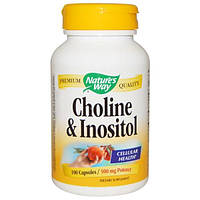 Холин Choline Natures Way 250 мг, 100 капсул