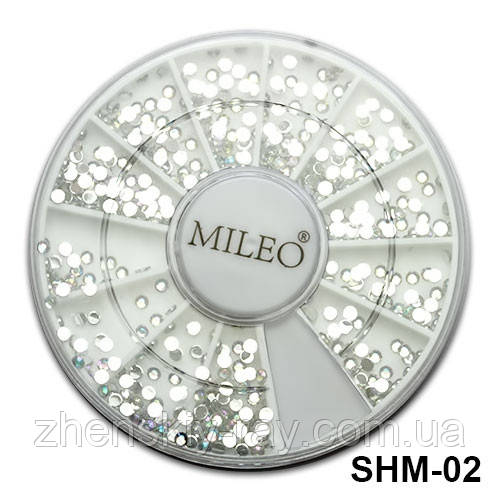 Камінці для нігтів хамелеон однакового розміру