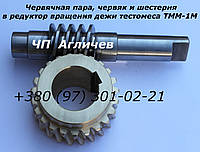 Черв'ячна пара на тістоміс в редуктор обертання діжі ТММ-1М; шестерня і черв'як шліфований