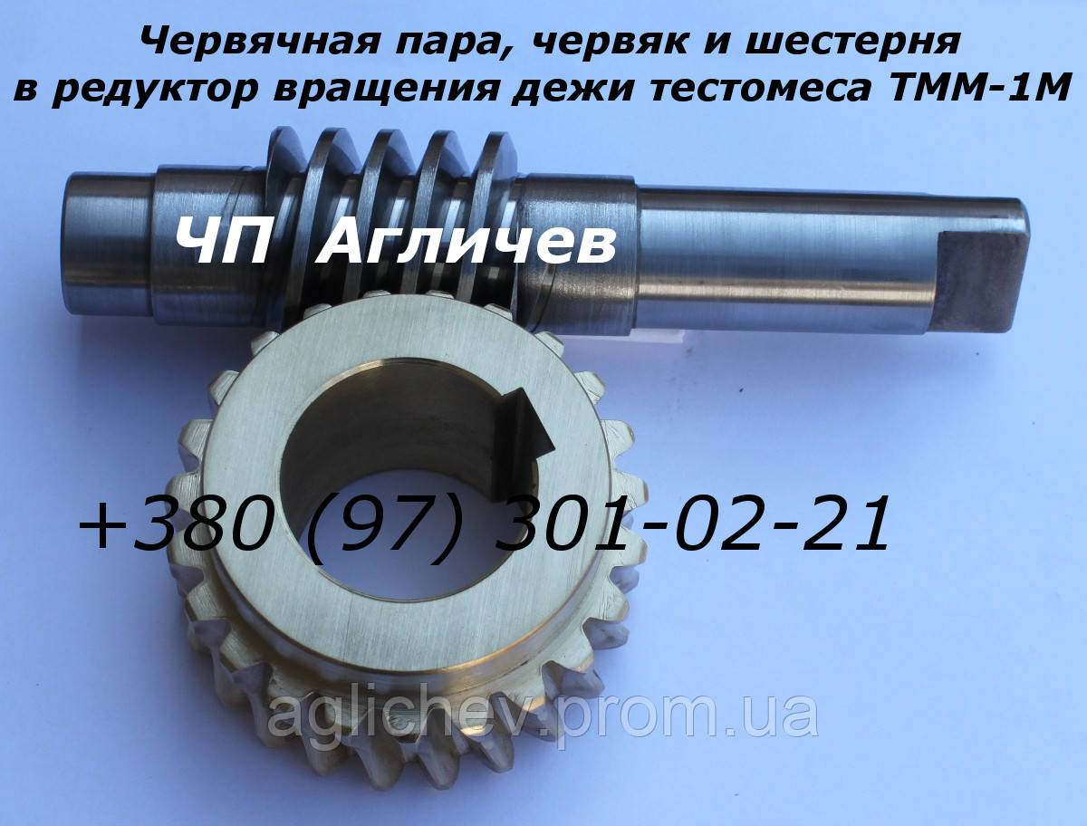 Червяк, вал червячный на тестомес в редуктор вращения дежи тестомеса ТММ-1М - фото 1 - id-p564930244