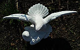 Скульптури голубів. Скульптура з полімеру Голуби 30*41 см, фото 10
