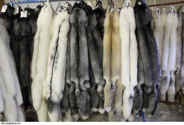 Fur перекладається як хутро, вовна, хутро, наліт, хутро, хутряний, обробляти хутром