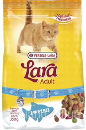410639 Lara Adult with Salmon, 10 кг