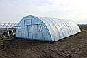 Теплиця фермерська "Фермер" 8х50 під один шар плівки, фото 2
