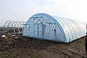 Теплиця фермерська "Фермер" 8х100 під один шар плівки, фото 3