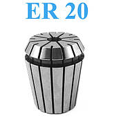 ER20
