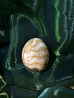 Яйце з каменю, амоніт (L)