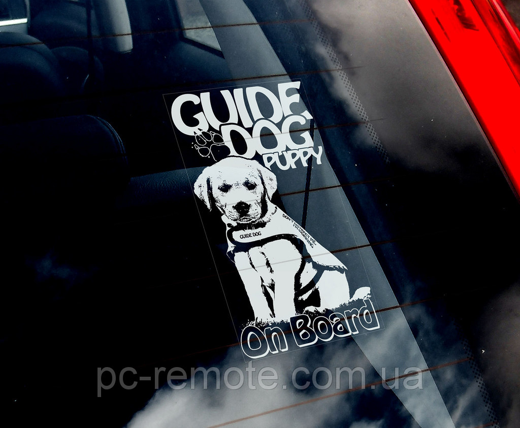 Собака повідир стикер, фото 1