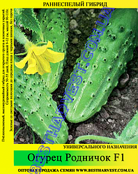 Насіння огірка «Родничок F1» 100 г