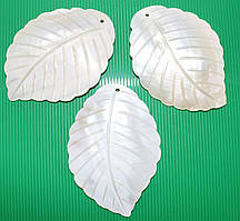 Мушля. Форма — листочок