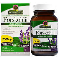 Natures Answer, Forskohlii, 250 мг, 60 шт., вегетаріанські капсули