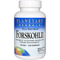 Planetary Herbals, Форсколін повного спектру, 130 мг, 120 капсул