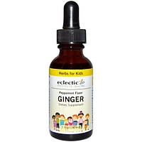 Eclectic Institute, Ginger, Peppermint Flavor, 1 fl oz (30 ml)