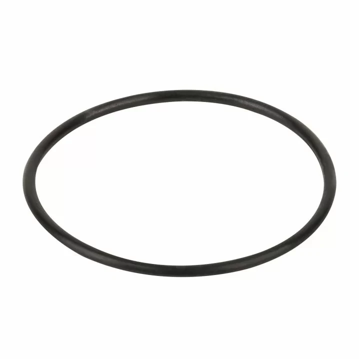 Уплотнительное кольцо диффузора Emaux (02011004)