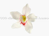 Квіти з мастики — Орхідея зелена — Ø 90 мм, фото 4