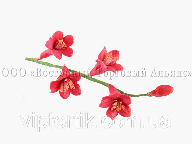 Цветы из мастики - Веточка красных пролисков - фото 1 - id-p525469002