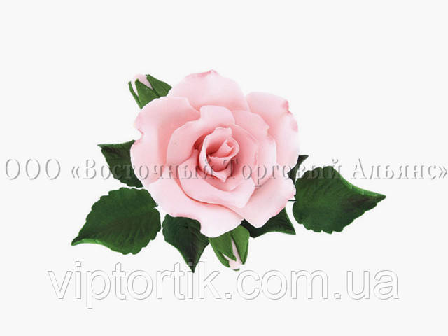 Букет из мастики - Роза с бутонами ОРАНЖЕВАЯ d-120 - фото 5 - id-p525471158