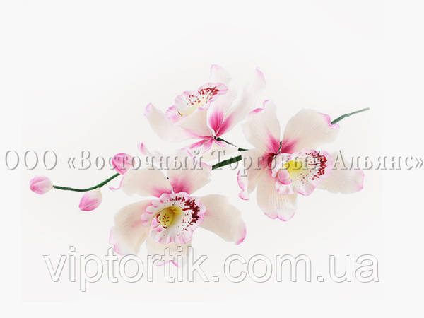 Цветы из мастики (1 шт) 11176*V Орхидея