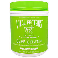 Vital Proteins, Желатин говяжий, 32 унции (907 г)