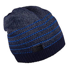 Демісезонна шапка для хлопчика TuTu арт. 3-003502(48-52, 52-56).