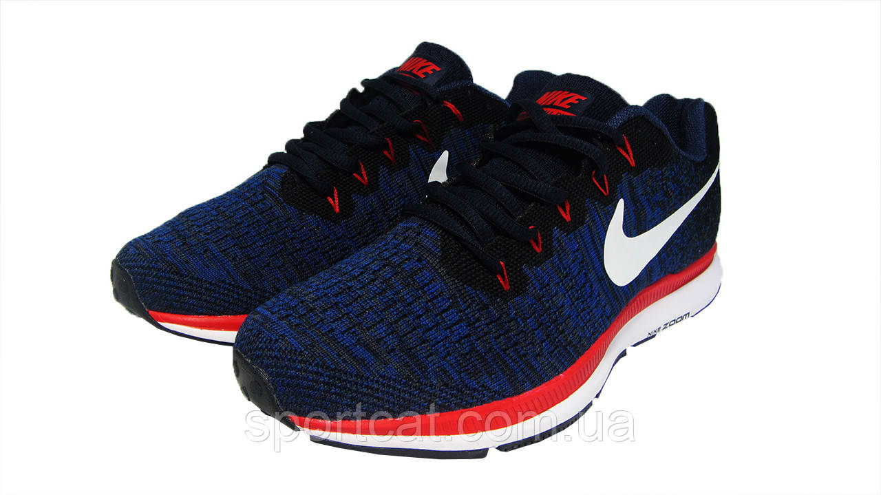 Pegasus all top out nike
