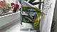 Насіння кабачка Ангеліна F1 500 насіння Syngenta, фото 3