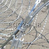 Йогоза Супер 2000/13 колюча огорожа , фото 2