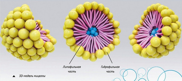 3D модель міцели