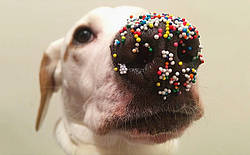 Великдень на носі.