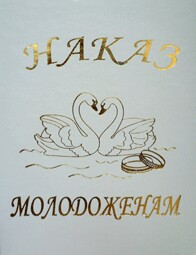 Диплом "Наказ молодятам", фото 1