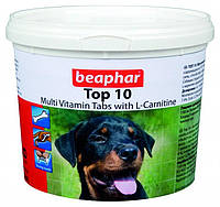 Top 10 Dog универсальный комплекс витаминов, минералов и микроэлементов Beaphar
