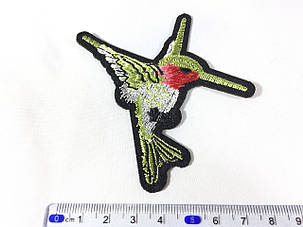 Нашивка Колібрі ліва 80х80, фото 2