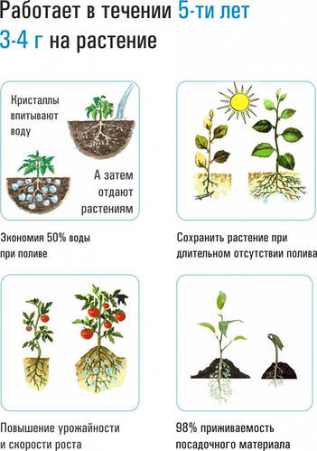 Застосування гідрогелю ECOFLOC