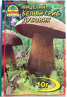 Міцелій гриба Білий Дубовик, 10г
