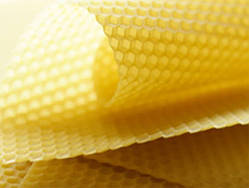 Вощина трутова