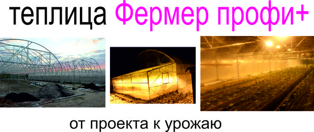 Теплица ФЕРМЕР 6М