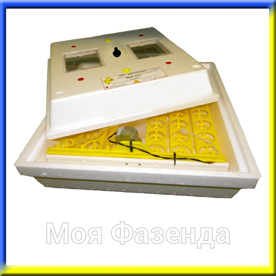 Інкубатор автоматичний Аист-7 (42 яйця), купити
