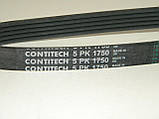 Поліклинові (ручейковий) ремінь +AC на Рено Кенго 1.4 i /1.6 i 16v (2001-2008) CONTITECH (Німеччина) 5PK1750, фото 2