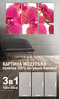 Модульна картина на полотні 3 в 1 Рожева орхідея 100х150 см