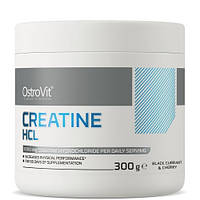 Креатин, Creatine HCL, OstroVit, 300 грам (Чорна смородина та вишня)
