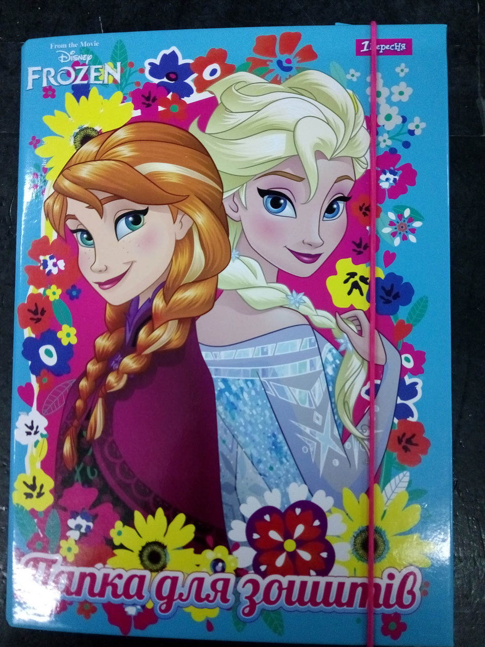491274 Папка для зошитів картоная В5 "Frozen"