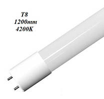 Свiтлодiодна лампа Biom T8 18W 4200К G13