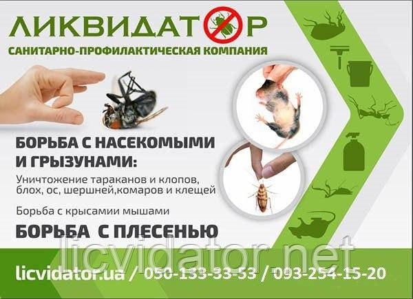 Гарантоване виведення клопів у Харкові та зоні