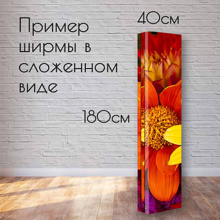 Ширма "Ніжна квітка", фото 2