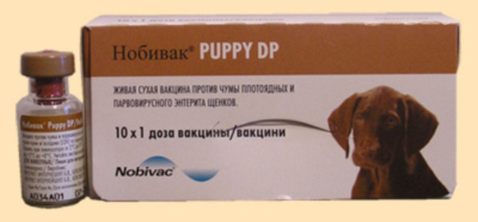 Вакцина Нобивак Puppy, Intervet (ID#180979329), цена: 125 ₴, купить на ...